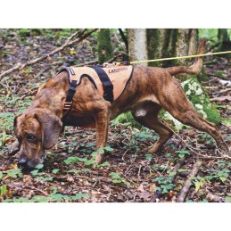 CHALECO DE PARA PERRO ARNÉS DE SEÑALIZACIÓN CANIHUNT SIGNAL