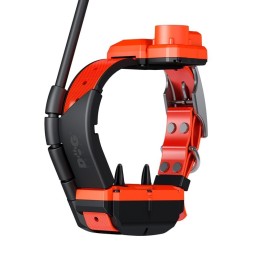 Collar adicional GPS X40-TB